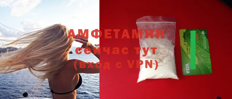 где купить   Жиздра  Amphetamine 98% 